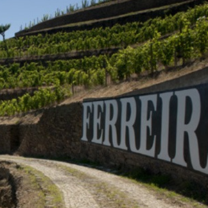 Casa Ferreirinha - House Defining Douro Valley